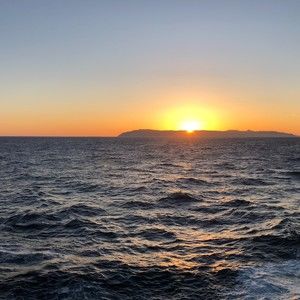 Meet your Posher, Patrick